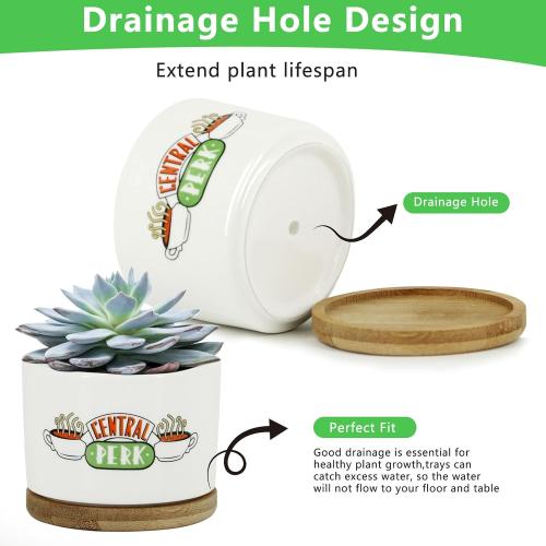 3 Pcs Friends tv Show Cute Merchandise Ceramic Plant Pots,Funny Friends Decor Themed Gifts for Women,for House Plants Garden Planters Succulent Pots(Not Included Plants)