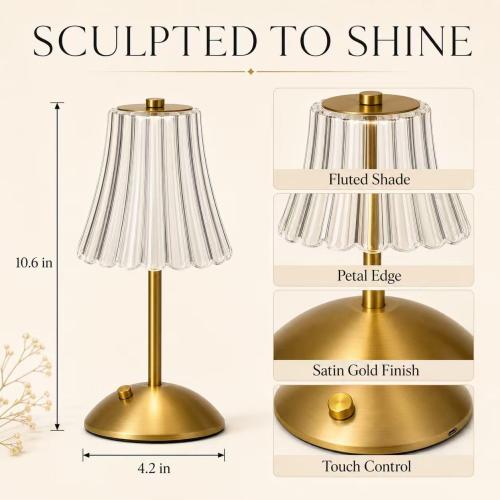 Small Cute Cordless Table Lamp Rechargeable for Kichen Countertop Gold
