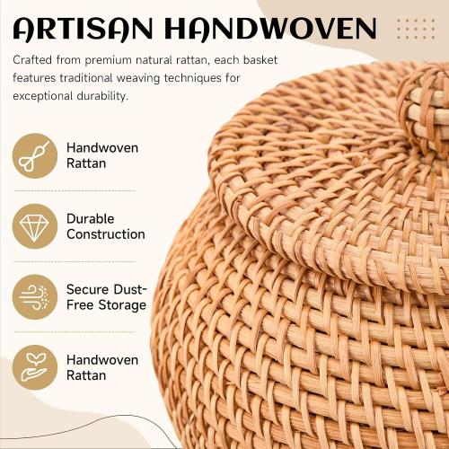 2 Pack Handwoven Round Rattan Storage Baskets with Lids, Small Decorative