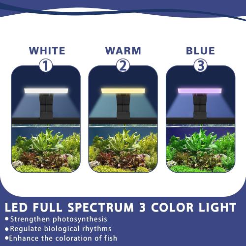 5.3 Gallon Fish Tank, Betta Fish Tank, Starter Kit, Aquarium for Beginner | LED Full Spectrum 3 Color Light, 3 Modes Filter, Hydroponic Basket, Fishing Net, Shells, Aquatic Plant, Coral, Pebbles