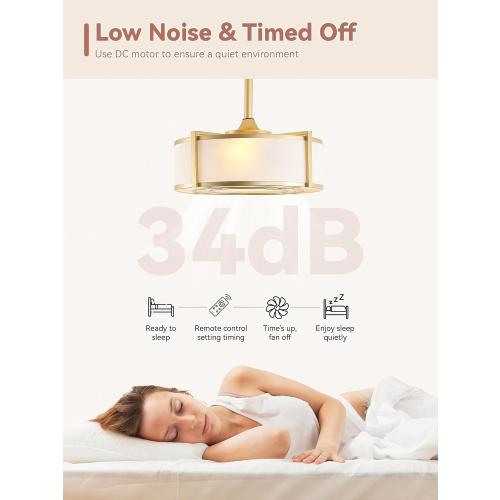 20 Gold Fandelier Ceiling Fans with Lights, Boho Rattan Ceiling Fan with Light Remote Control, Caged Mid-Century Modern with 6 Speeds for Bedroom, Nursery, Living Room