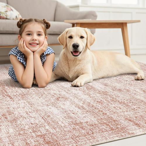 Washable Area Rug 9x12 Large