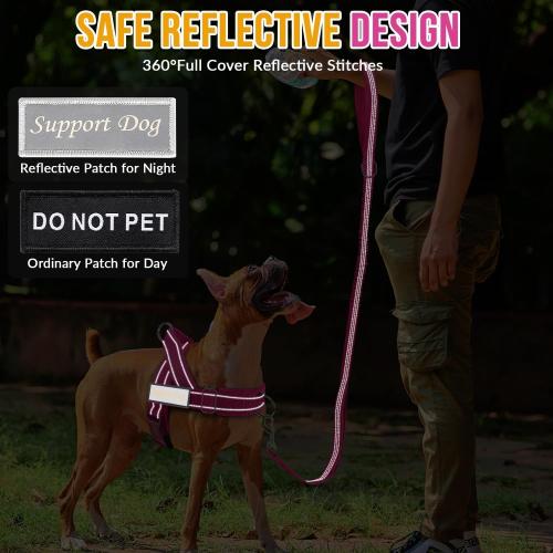 SlowTon No Pull Dog Harness and Leash Set - Heavy Duty, Soft Padded