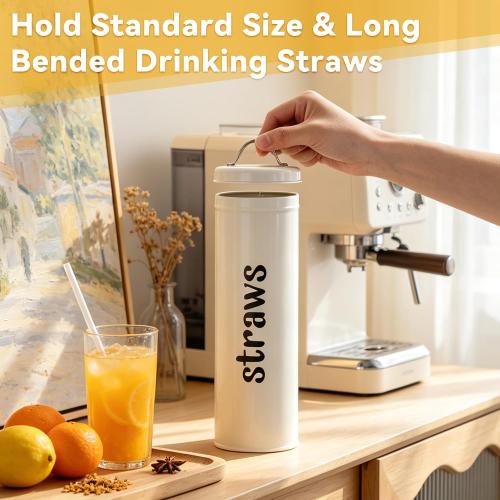 Metal Straw Holder with Handle Lid, 12 Inches Tall Drinking Straw Dispenser