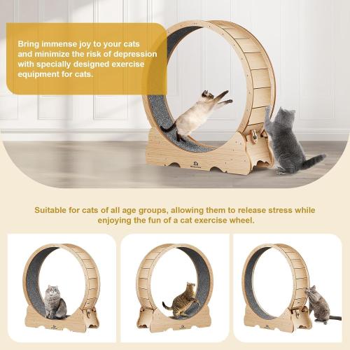 Cat Wheel, 48 XL Large Cats Exercise Running Wheel, Cat Treadmill for Indoor Cats