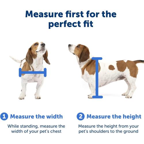 PetSafe Sliding Glass Pet Door