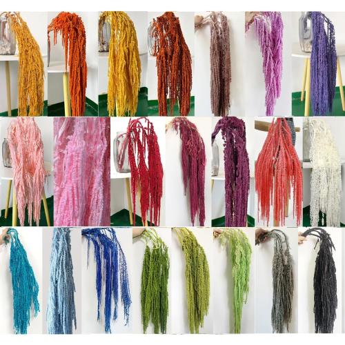 5 Pcs Bleached Wisteria Vine Hanging Dried Flowers, Natural Preserved Hanging Amaranthus Flowers for Wedding Bouquet, Wall Home Party Decor (Wine Red)