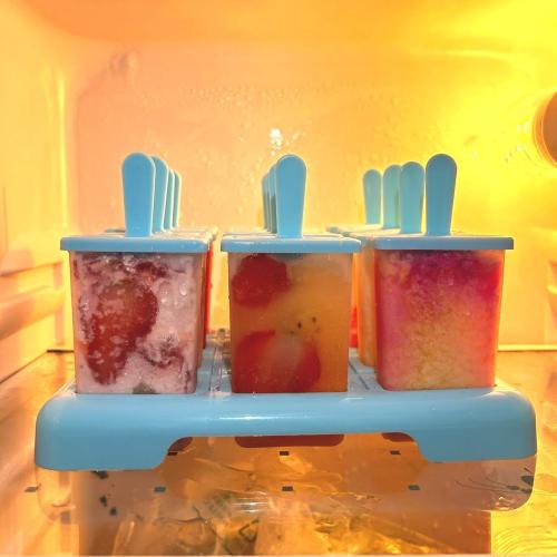 12 Cavities Popsicles Molds, Popsicle Molds with Built-in Popsicle Stick | Alinana Without BPA DIY Popsicle Molds with Cleaning Brush and Funnel