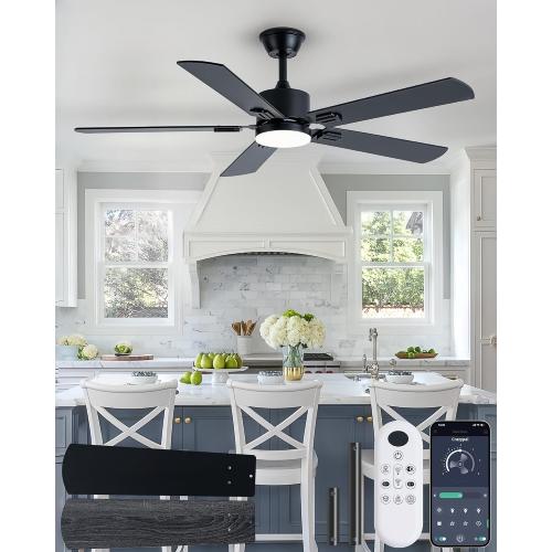 Coolwind 56 Inch Black Ceiling Fan with Display Remote/APP Control