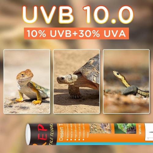 T8 UVB Reptile Light 18W 10.0-2 Pack,UVA UVB Light Bulb for Reptiles,Reptile UVB Lamp Tube for Bearded Dragon