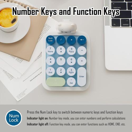 Lomiluskr Wireless Number Keypad with Cute Silicone Bear, 18 Colorful Round Keys Numpad, 2.4G USB Wireless Connection, Portable Financial Accounting Numeric Keyboard, Suitable for PC, Laptop (Blue)