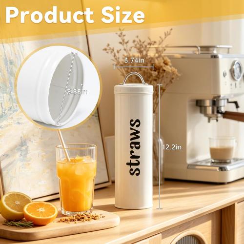 Metal Straw Holder with Handle Lid, 12 Inches Tall Drinking Straw Dispenser