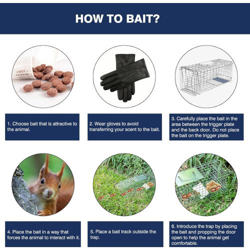 Animal Trap Cage, 26 Inch Live Traps for Raccoons Heavy Duty, Cat Trap for Stray Cats, Squirrels, Raccoon, Rabbits, Possum, Skunk, Outdoor Small Animal Humane Catch & Release, Foldable