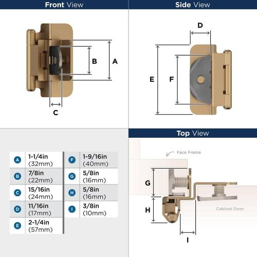 Champagne Bronze 3/8 in. (10 mm) Inset Double Demountable, Cabinet Hinge (2-Pack)