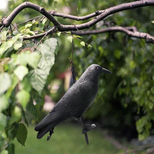 Realistic Crow Decoys, Life Sized Simulation Crow Statue Hunting Bait Decoys Black Crow Decoy Figuring,Flying Bird Props for Halloween Party Outdoor Garden Crow Decor (3PCS)
