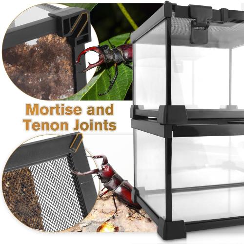 8x8x12 Escape-Proof Glass Terrarium, Top-Opening Vertical Vivarium for Small Arboreal Reptiles Such as Green Anoles, Full-View Tank with Escape-Proof Lock & Feeding Hatch