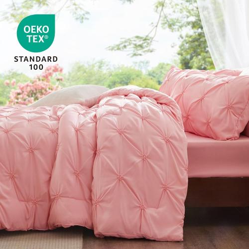 BEDELITE Pink Queen Comforter Set,Fluffy & Soft Comforter