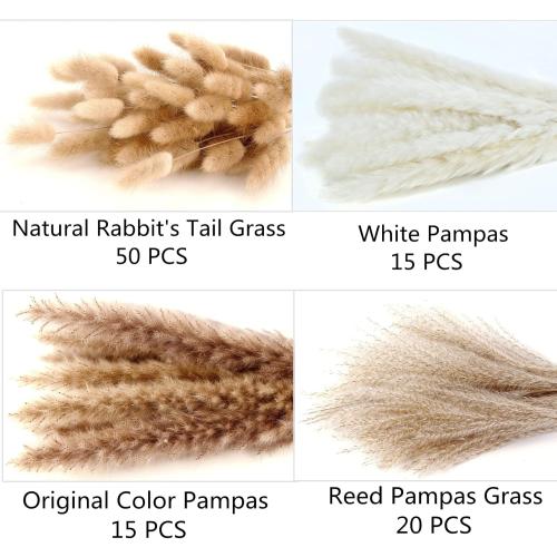 Dried Pampas Grass Decor, 100 Stems Pampas Grass Contains Bunny Tails Dried Flowers, Reed Grass Bouquet for Wedding Boho Flowers Home Table Decor, Rustic Farmhouse Party (17, White and Brown)