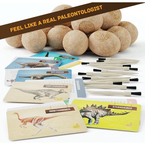 Dig a Dozen Dino Egg Kit for Kids - 12 Eggs & Surprise Dinosaurs