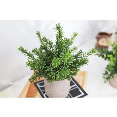 Der Rose 3 Pack Fake Plants Mini Faux Plants for Shelf Classroom Decor