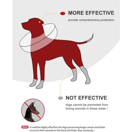 MIDOG Inflatable Dog Cone, Donut Recovery Collar After Surgery, Medium