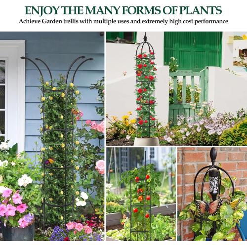 WellSign 2Pack 6.6ft Obelisk Trellis for Climbing Plants Outdoor Indoor