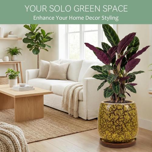 10.3 Inch Ceramic Glaze Plant Pot with Saucer, Flower Pots with Drainage Hole Mesh Net (Spot Yellow)