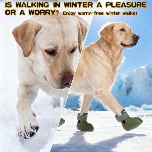 EXPAWLORER Dog Shoes for Hot Pavement Small Medium Large Dogs, Waterproof Non-Slip Dog Summer Booties with Socks, Easy On & Off Pet Boots & Paw Protectors, Easy-Clean for Beach Outdoor Rain (Green L)