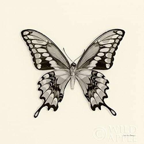 Posterazzi Butterfly VI BW Crop Poster Print by Debra Van Swearingen,
