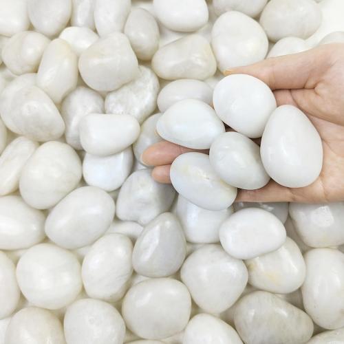 FANTIAN 20 lbs White River Rocks, 1-2 Inch Polished Pebbles for Indoor Plants, Decorative White Stones for Plants, Vase, Aquarium, Fish Tank, Landscaping and Garden
