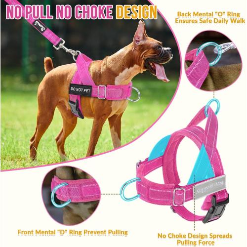 SlowTon No Pull Dog Harness and Leash Set - Heavy Duty, Soft Padded