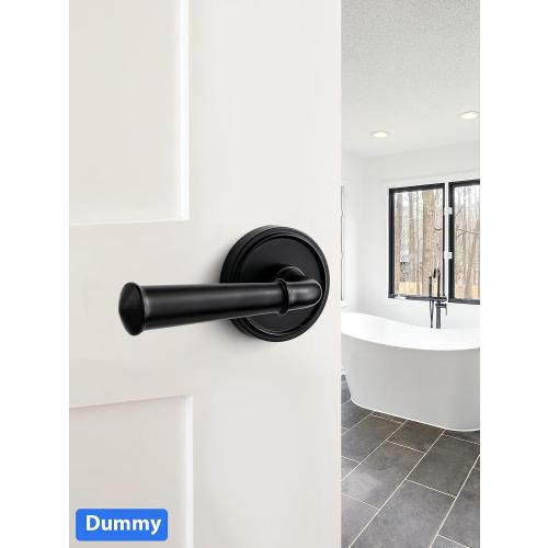 Door Handle Black Double Dummy Door Lever, 1 Pack
