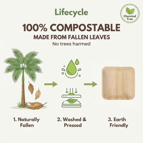 Square 6 inch Bamboo Leaf Plates 50 plates 2pack  one small and one big ‼️