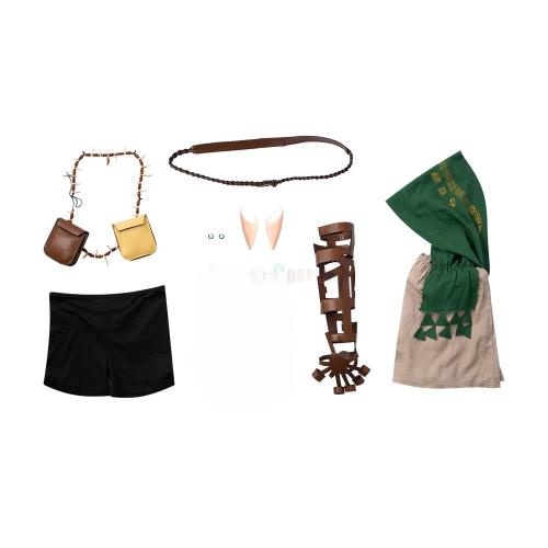 The Legend of Zelda: Breath of the Wild 2 Link Cosplay Costume