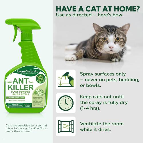 Ant Killer – Indoor & Outdoor Ant Killer Spray for Carpenter, Pavement & Little Black Ants – Peppermint Oil Ant Spray & Ant Repellent for Home – Safe Around Kids & Pets (16oz)