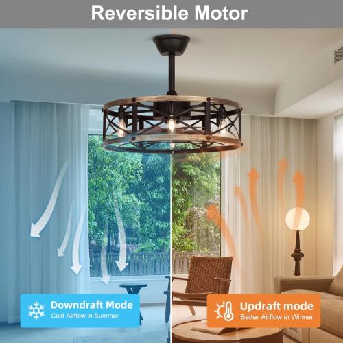 SHLUCE 22 Caged Ceiling Fan with Light and Remote, Farmhouse Fandelier