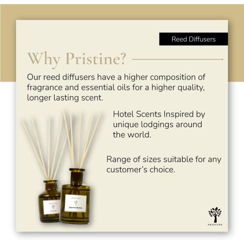 PRISTINE Casa Particular/Inspired by Wyndham Reed Diffuser for Home | Rich Blend of Tobacco Leaves, Sweetness of Guava Reed Diffuser Set, Oil & Reed Diffuser Sticks | Home & Office Decor