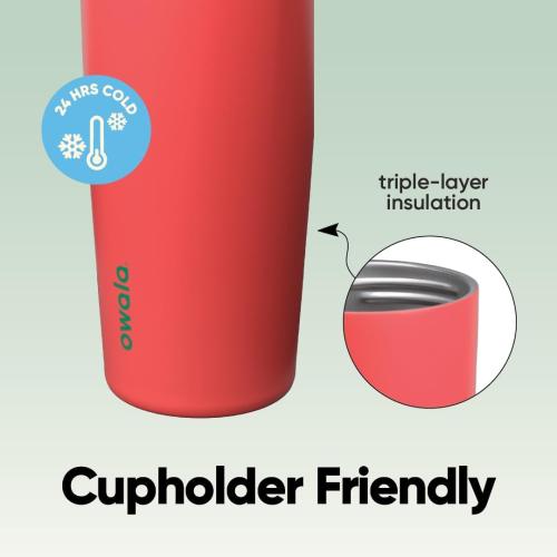 Owala FreeSip Sway Stainless Steel Water Bottle 30 oz Strawberry Fields