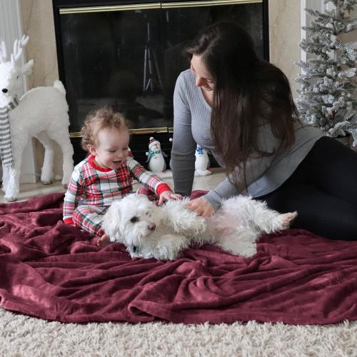 Bedsure GentleSoft Fleece Throw Blanket Red - 300GSM Blankets for Couch, Sofa, Bed, Soft Lightweight Plush Cozy Throws for Toddlers, 50x60 inches
