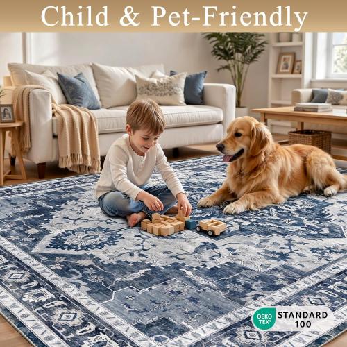 6x9 Area Rugs Living Room Rug: Soft Vintage Washable Rug