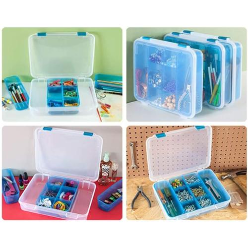 STERILITE Divided Case, Multicolor