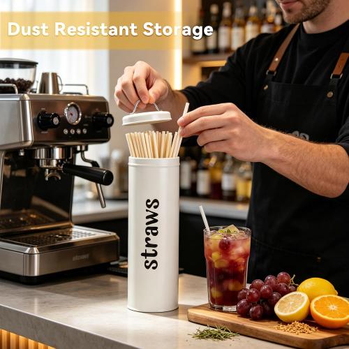 Metal Straw Holder with Handle Lid, 12 Inches Tall Drinking Straw Dispenser