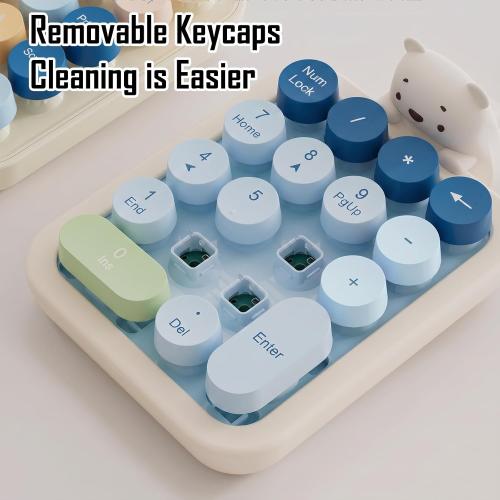 Lomiluskr Wireless Number Keypad with Cute Silicone Bear, 18 Colorful Round Keys Numpad, 2.4G USB Wireless Connection, Portable Financial Accounting Numeric Keyboard, Suitable for PC, Laptop (Blue)
