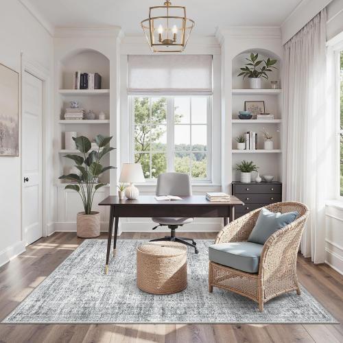 Soalmost 4x6 Area Rug for Living Room, Washable Rugs Non-Slip, Grey