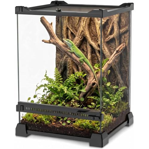 8x8x12 Reptile Terrarium, Single-Door Glass Arboreal Vivarium for Small Arboreal Lizards Such as Small Day Geckos, with Lock, Cable Port & Waterproof Deep Base Below Front Door