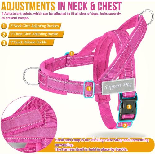 SlowTon No Pull Dog Harness and Leash Set - Heavy Duty, Soft Padded