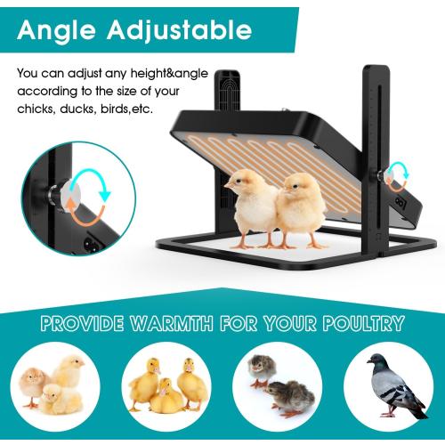 Upgraded Chick Heating Plate with Adjustable Height & Angle, Thermostatic Control Chick Warmer Pad for Enclosed Indoor Space – Ideal for Chicks, Ducklings, Quail, and Birds