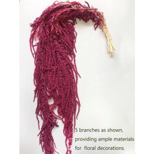 5 Pcs Bleached Wisteria Vine Hanging Dried Flowers, Natural Preserved Hanging Amaranthus Flowers for Wedding Bouquet, Wall Home Party Decor (Wine Red)
