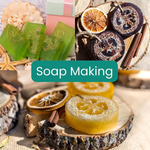 10 Pcs (7 – 10 Inches) Natural Loofah Sponge | Organic Loofah | Shower Loofah Exfoliating Body Scrubber | Bath for Loofah for Men and Women | (10 - Pack)