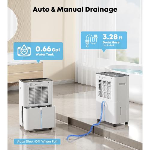 2500 Sq.Ft Dehumidifier for Basement, Max 32 Pints/Day